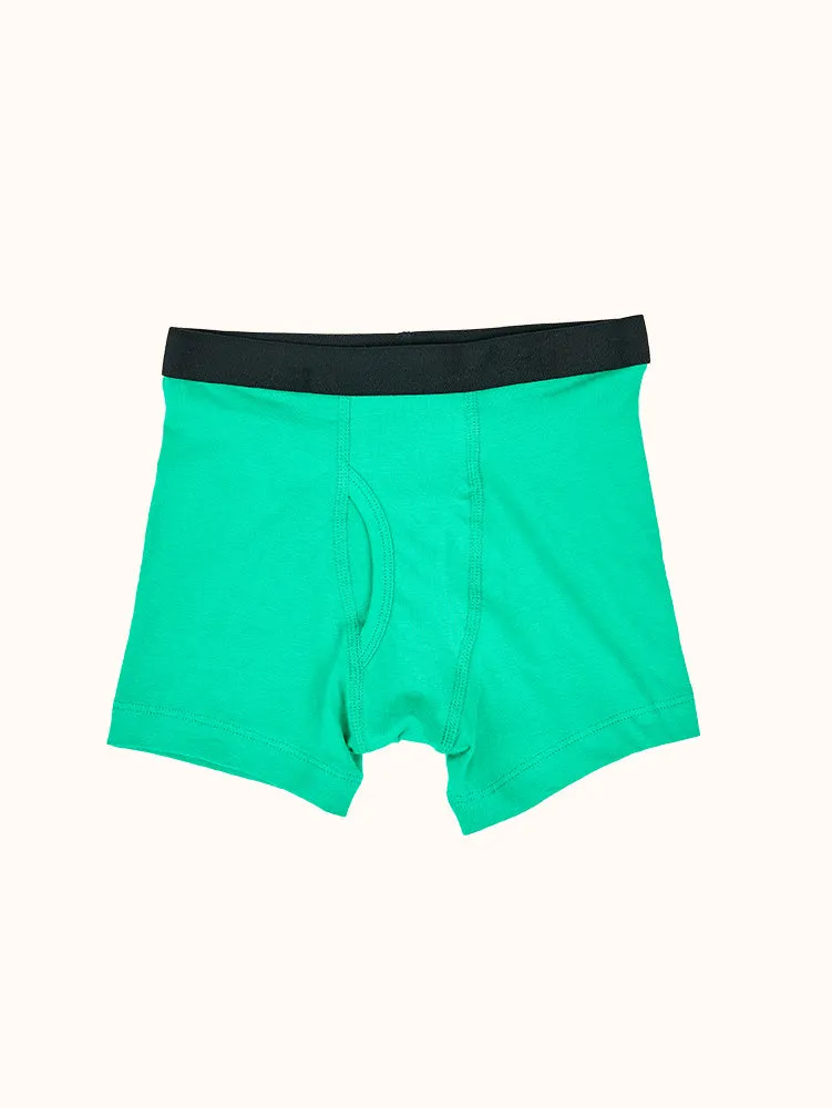 Boys' Basic Cotton Boxer Briefs (4 Pack)