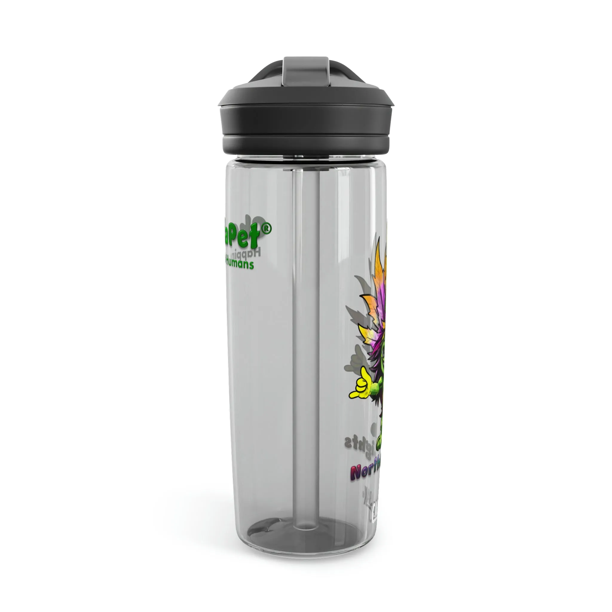 CamelBak Eddy®  Water Bottle 20oz - NorthernLights