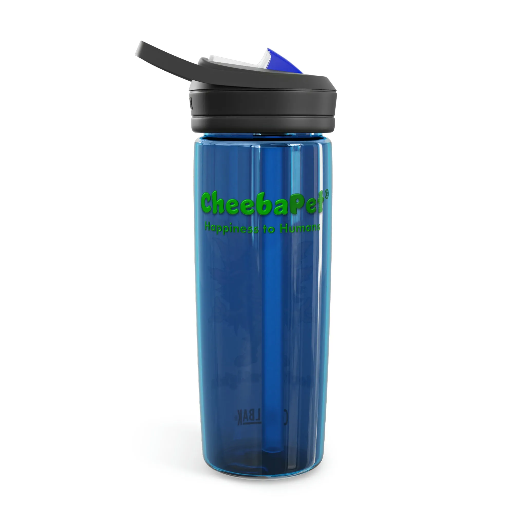 CamelBak Eddy®  Water Bottle 20oz - NorthernLights