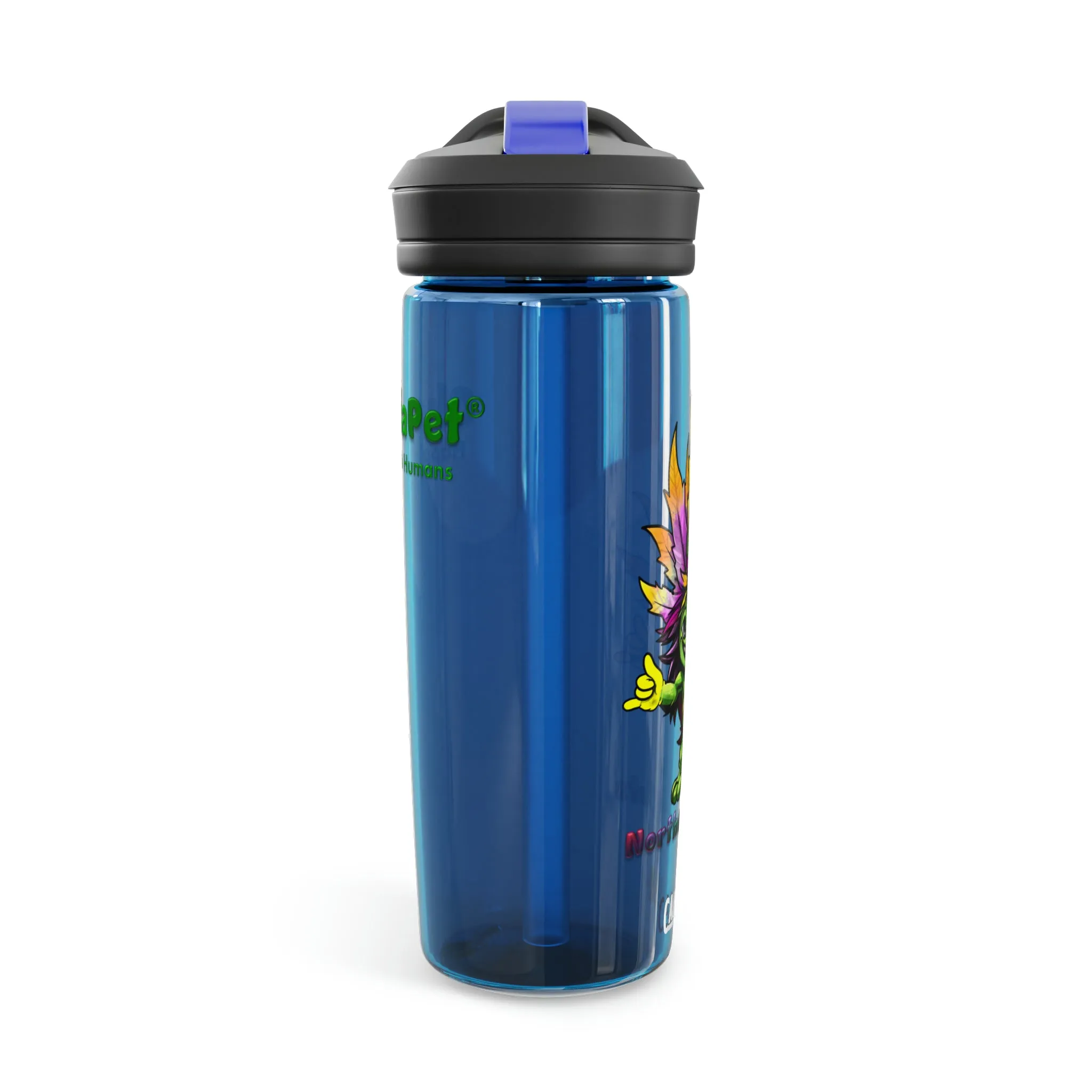 CamelBak Eddy®  Water Bottle 20oz - NorthernLights