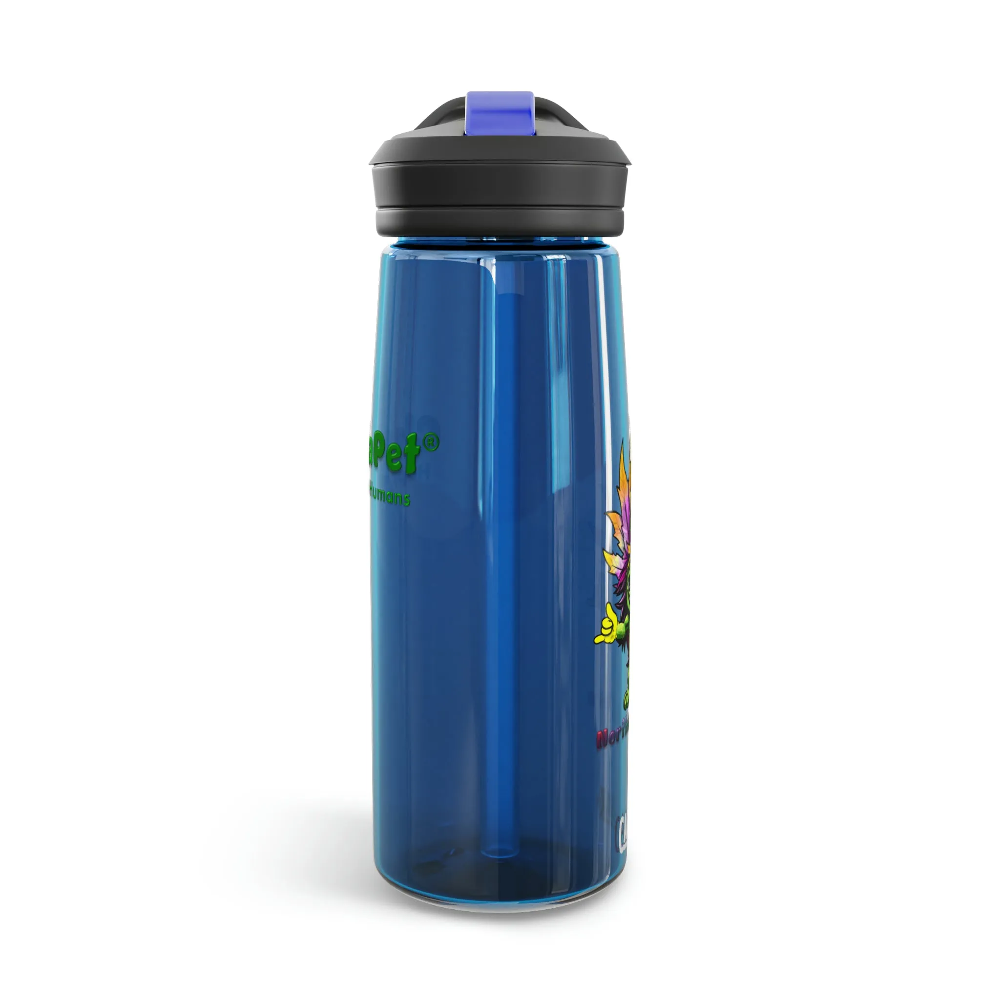 CamelBak Eddy®  Water Bottle 20oz - NorthernLights