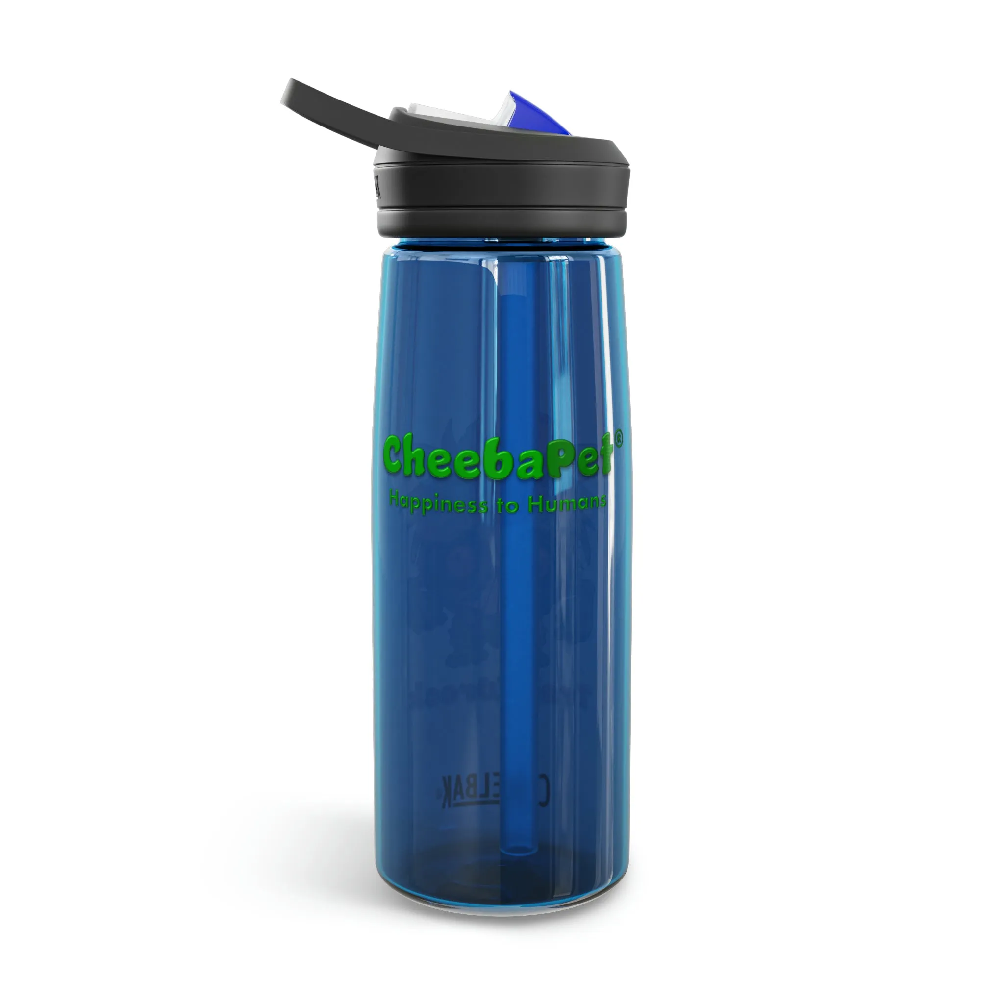 CamelBak Eddy®  Water Bottle 20oz - TrainWreck