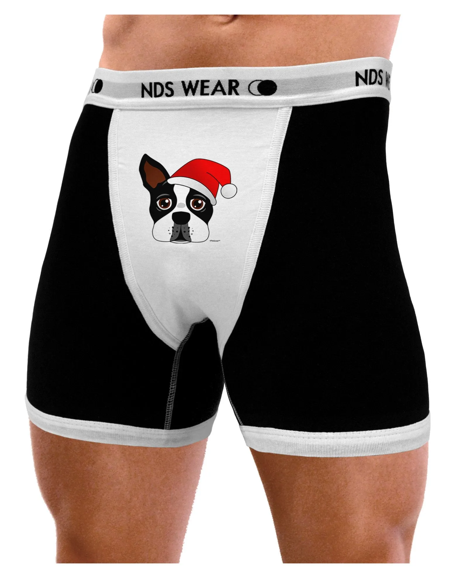 Cute Dog with Santa Hat - Christmas Mens Boxer Brief Underwear