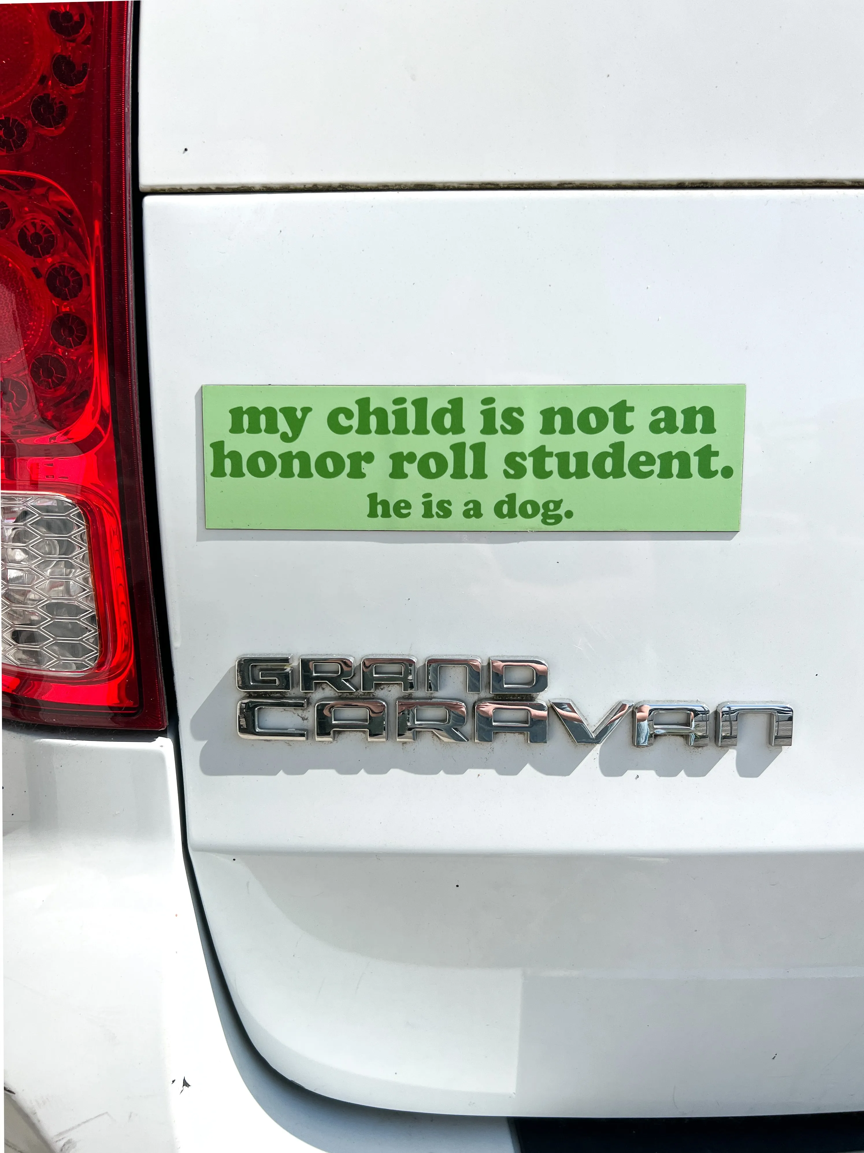 Honor Roll Dog Car Magnet - Green