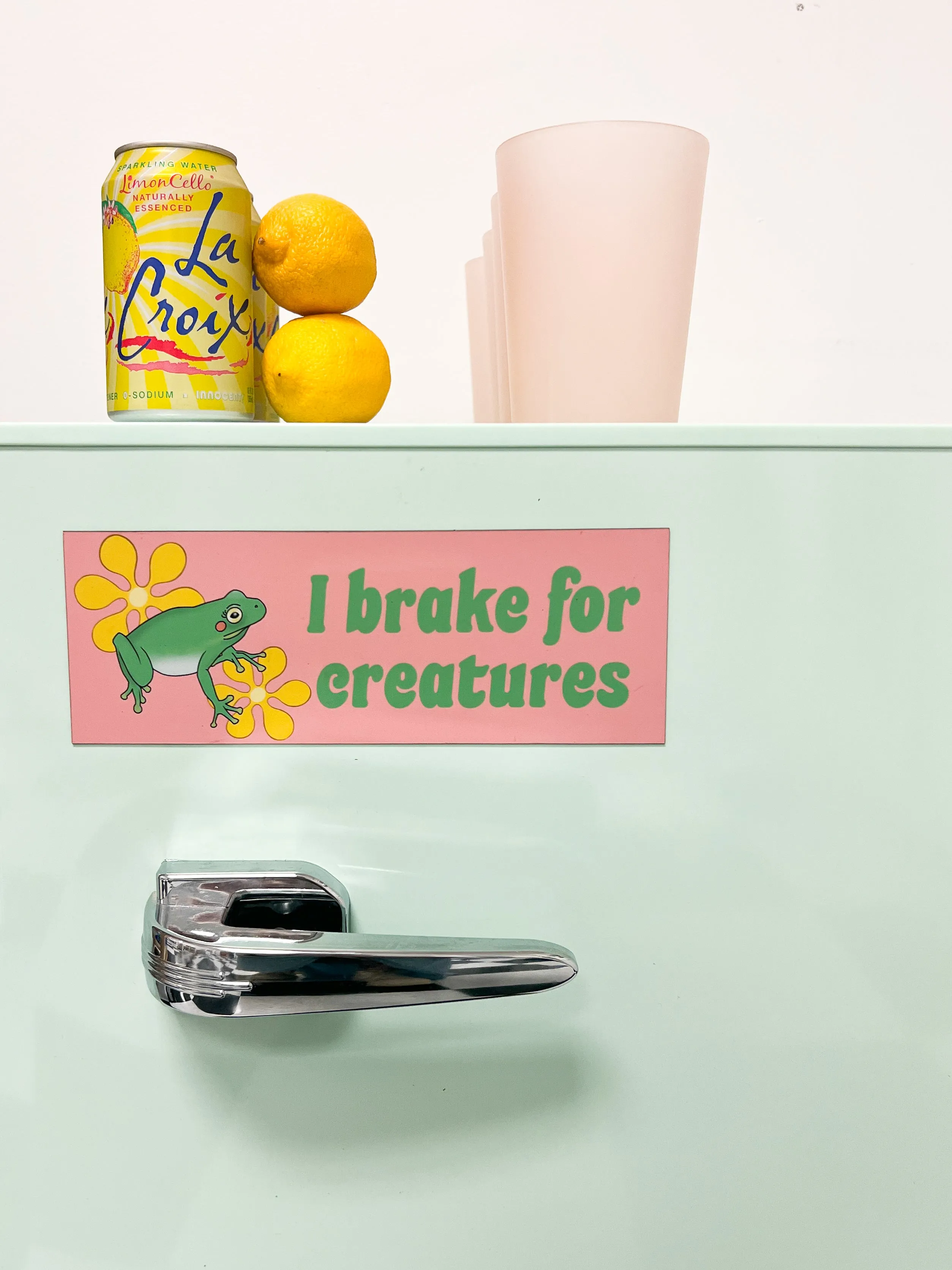 I Brake For Creatures Car Magnet