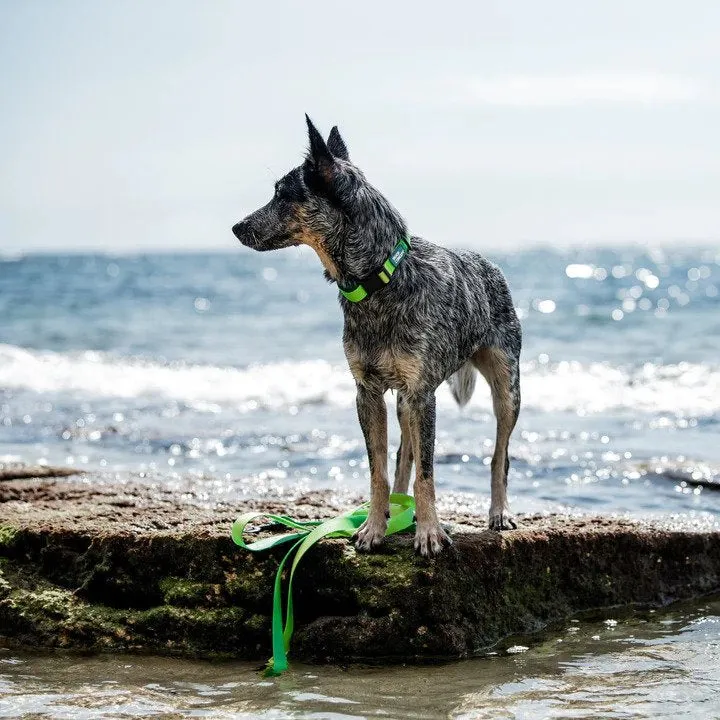 Ikonic Aqua Waterproof Dog Collar