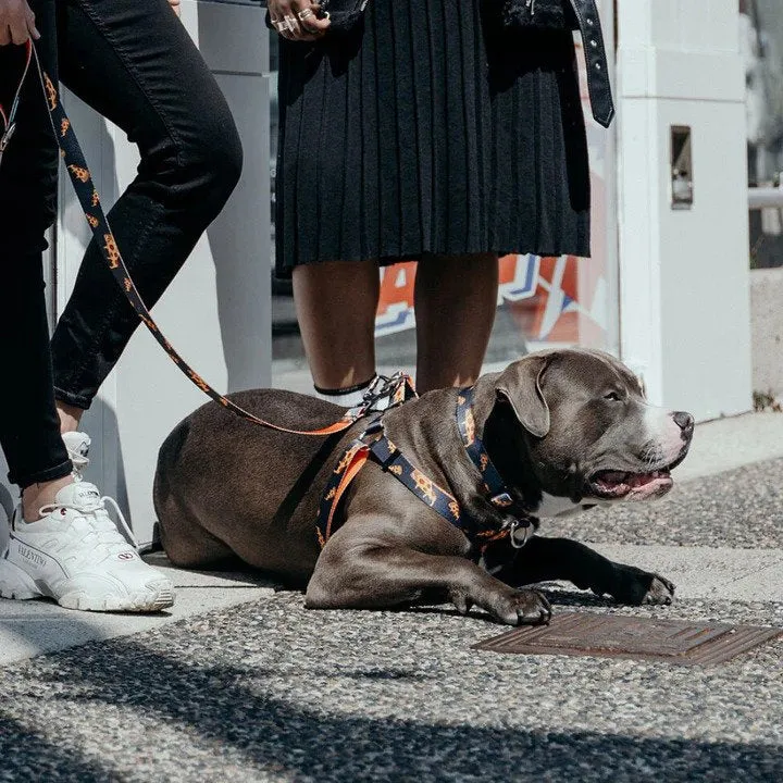 Ikonic Dog Collar