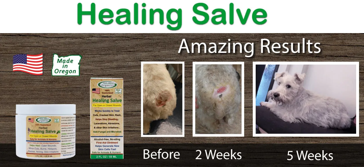 MAD ABOUT ORGANICS Open Wound Healing Herbal Salve & Paw Moisturizer