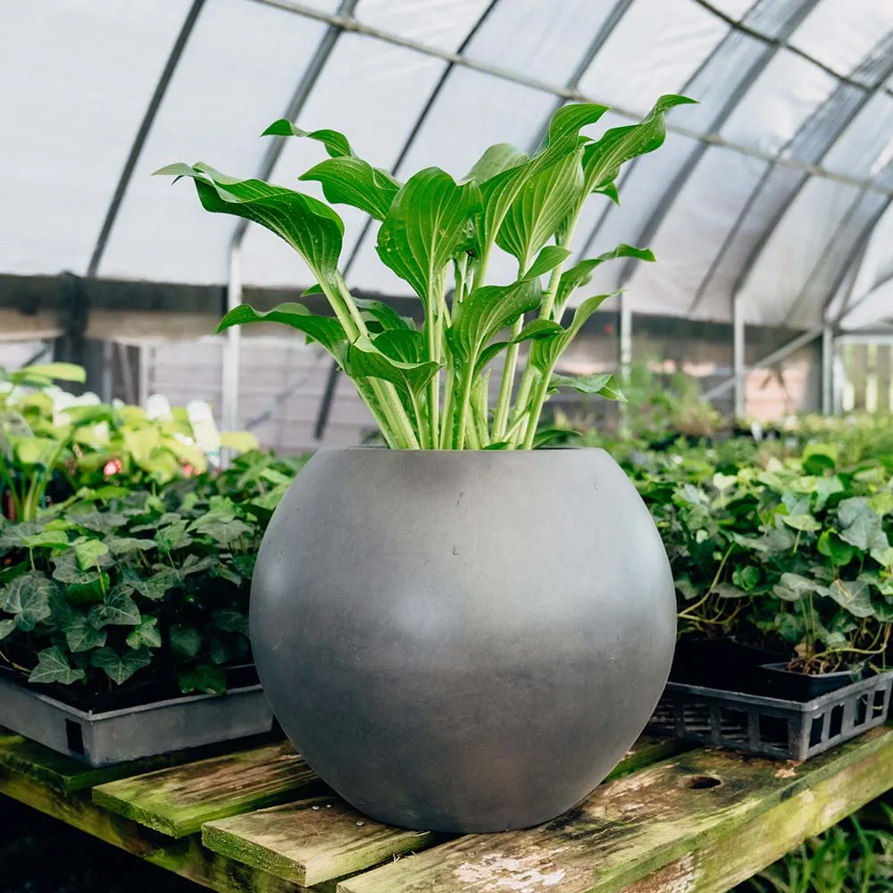 Onyx Sphere Planters