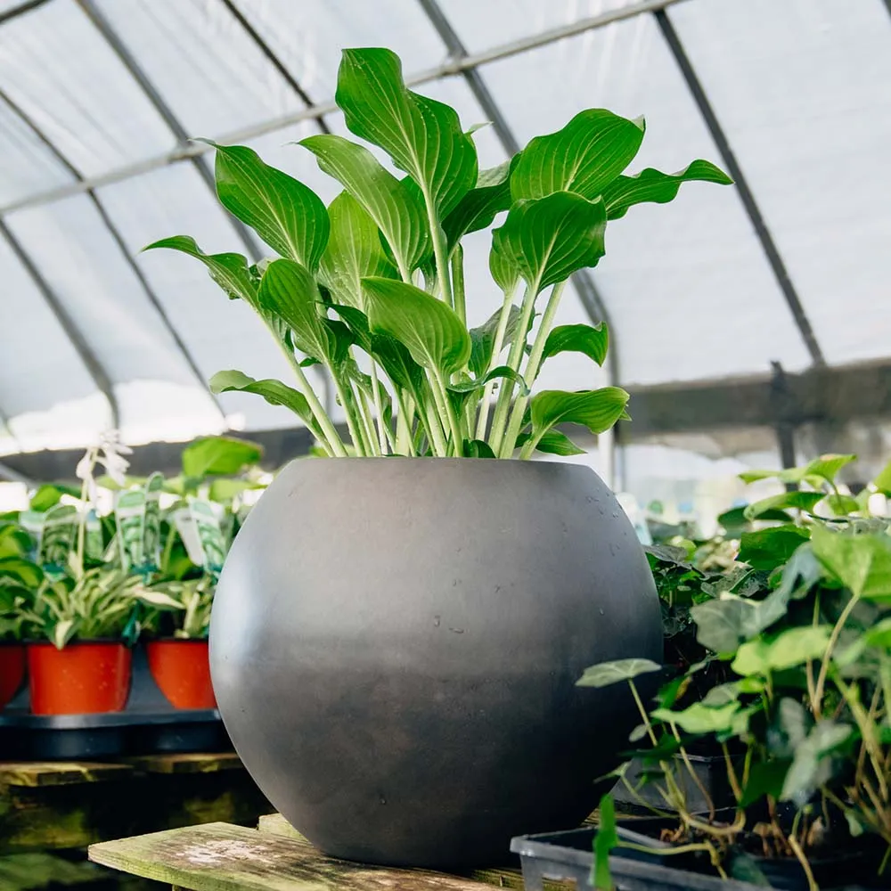 Onyx Sphere Planters