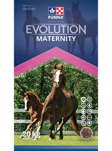 Purina Evolution Maternity 20kg